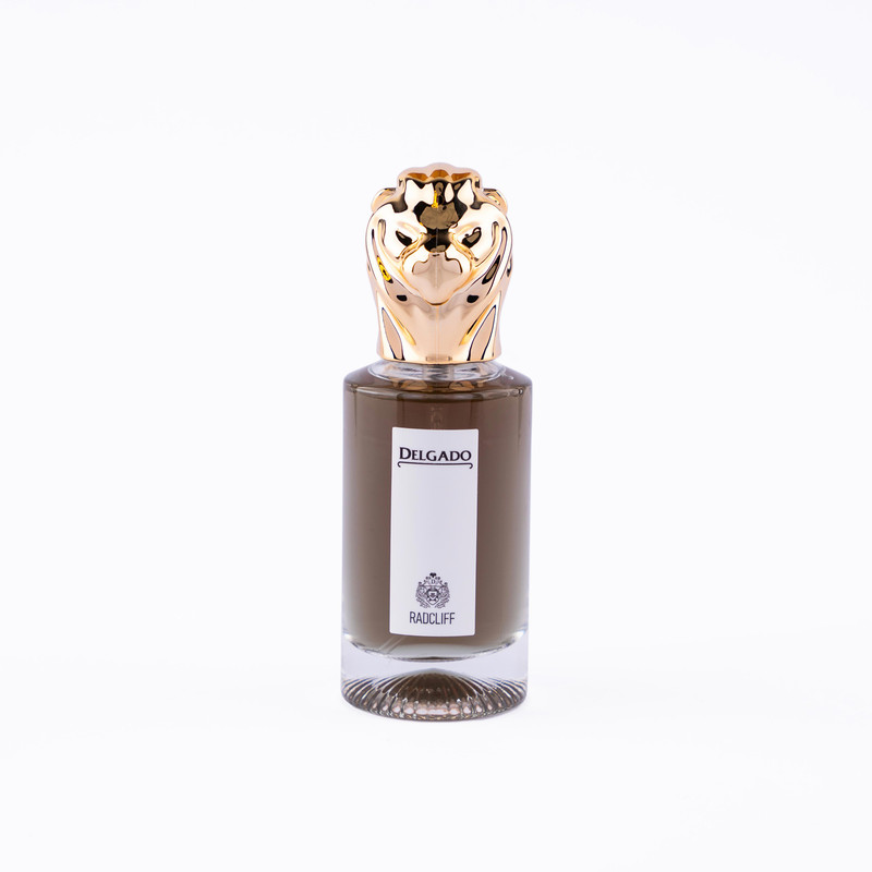 عطر جیبی مردانه دلگادو مدل رادکلیف با رایحه گرم حجم 25 میلی‌لیتر